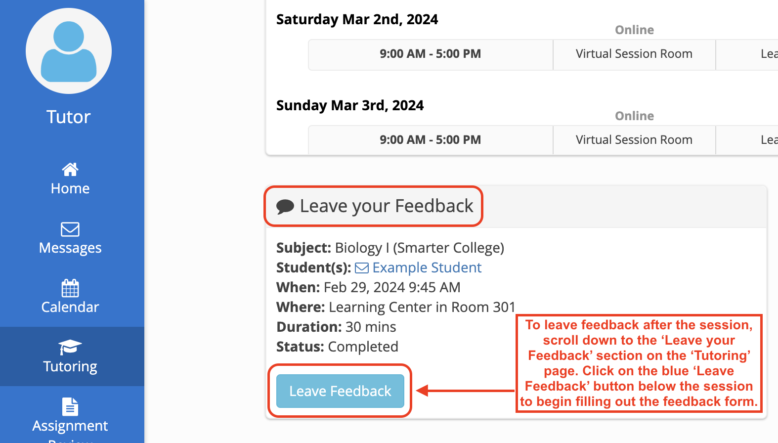 campus tutors - in-person sessions - feedback section.png