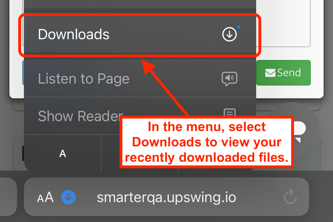 AR - safari - click on downloads.PNG